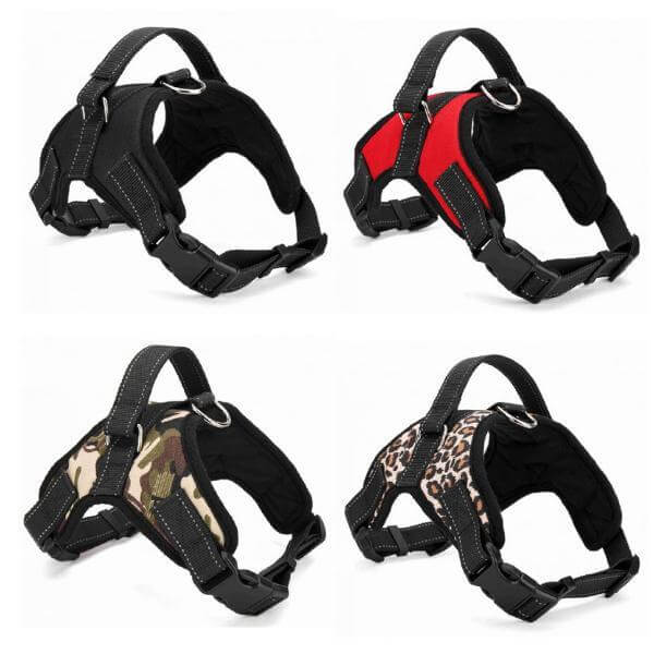 Adjustable Dog Harness with Padded Fit for All Sizes – Quick On and Off Design 3