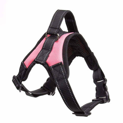 Adjustable Dog Harness with Padded Fit for All Sizes – Quick On and Off Design 4