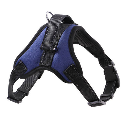 Adjustable Dog Harness with Padded Fit for All Sizes – Quick On and Off Design 5