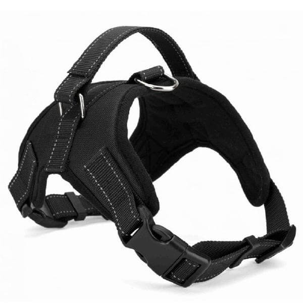Adjustable Dog Harness with Padded Fit for All Sizes – Quick On and Off Design 6