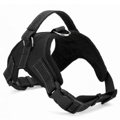 Adjustable Dog Harness with Padded Fit for All Sizes – Quick On and Off Design 6