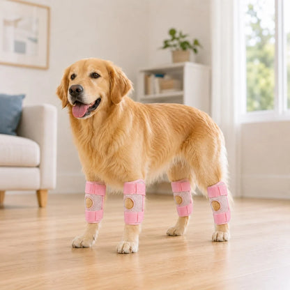 Adjustable dog knee brace designed for both front and rear legs, featuring a breathable 3-layer support system to enhance mobility and comfort for injured or recovering 10