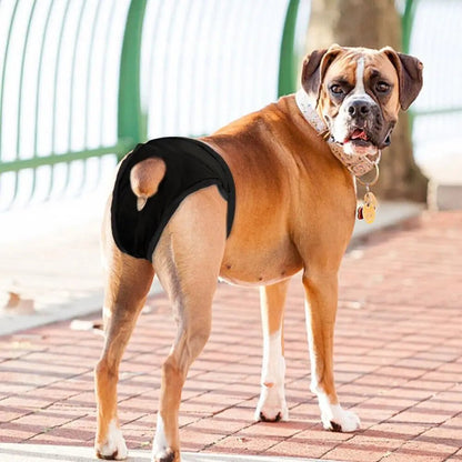 Adjustable Dog Period Pants with 3 Reusable Diaper Inserts for Female Dogs – Breathable Cotton, Tail Hole, Multiple Sizes 3