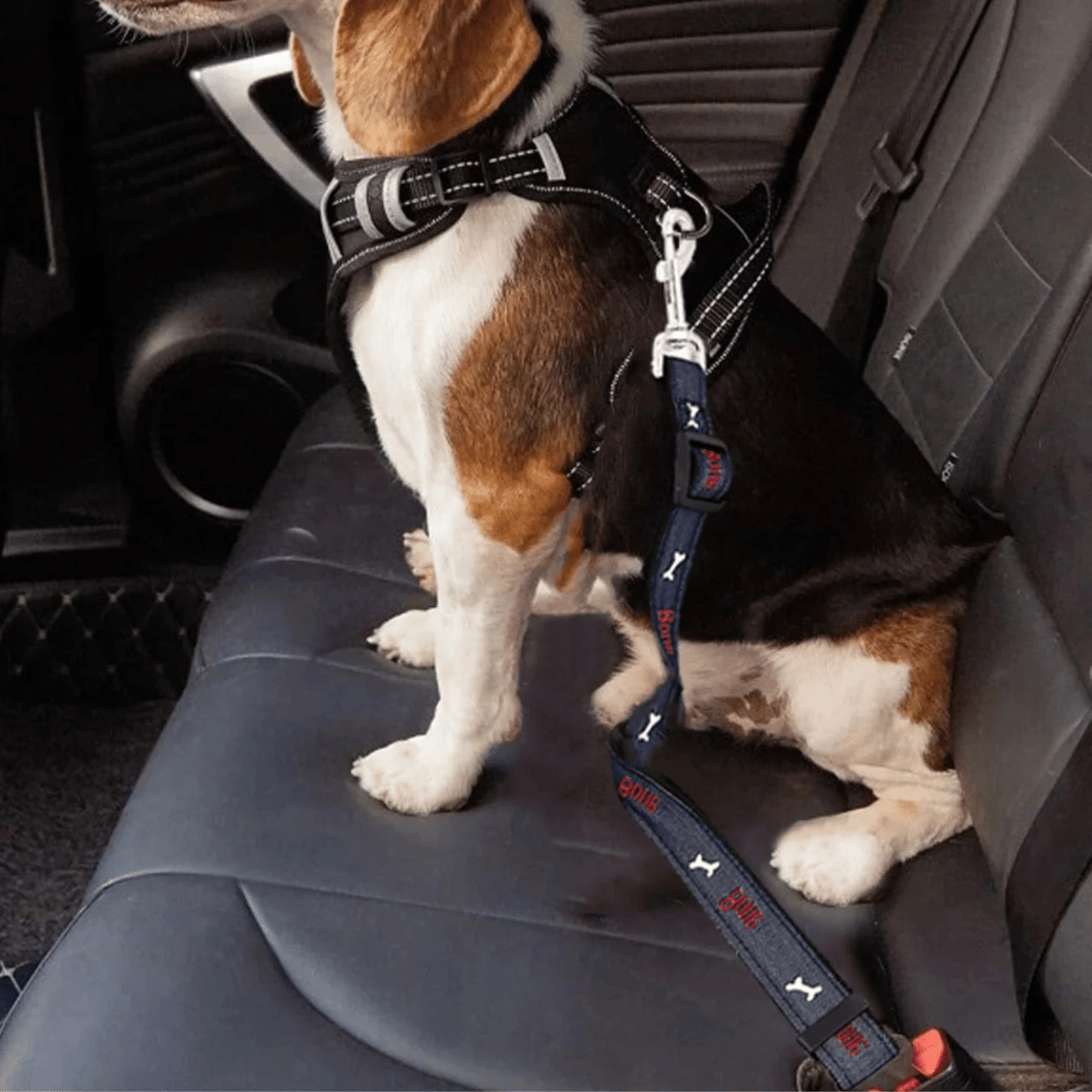 Adjustable Dog Seat Belt Harness for Safe Car Travel – Durable Nylon with Metal Buckle, Fits Most Vehicles 1