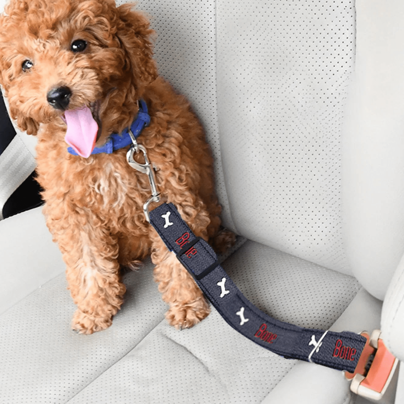 Adjustable Dog Seat Belt Harness for Safe Car Travel – Durable Nylon with Metal Buckle, Fits Most Vehicles 5