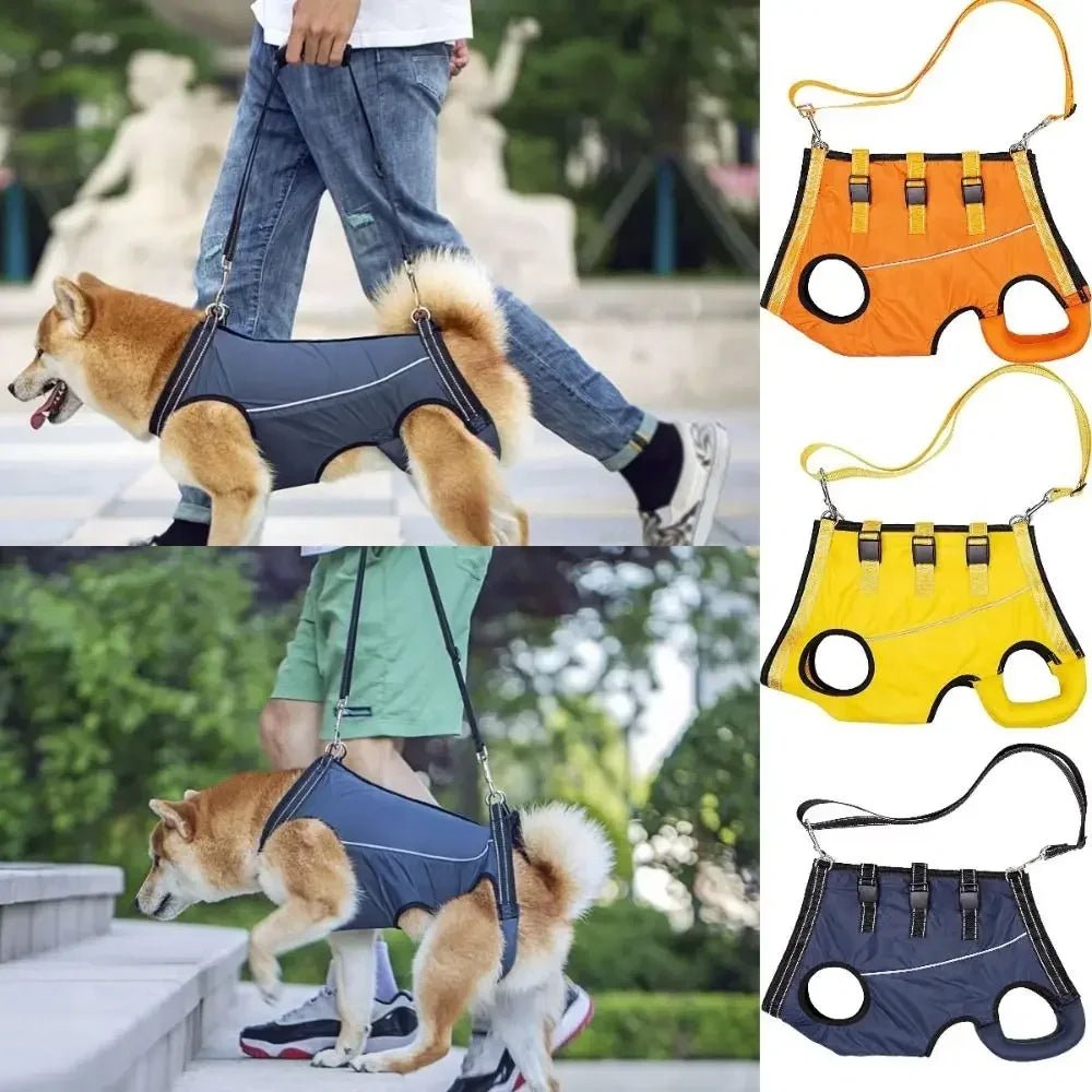 Adjustable Dog Support Strap for Mobility and Recovery – Breathable Dacron Harness 1