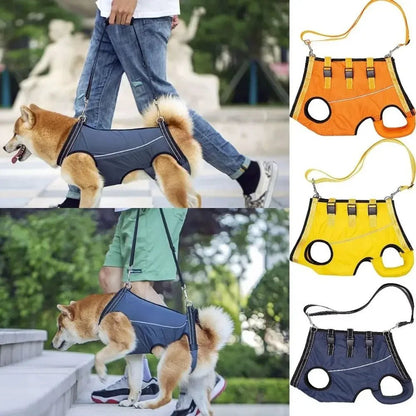 Adjustable Dog Support Strap for Mobility and Recovery – Breathable Dacron Harness 1