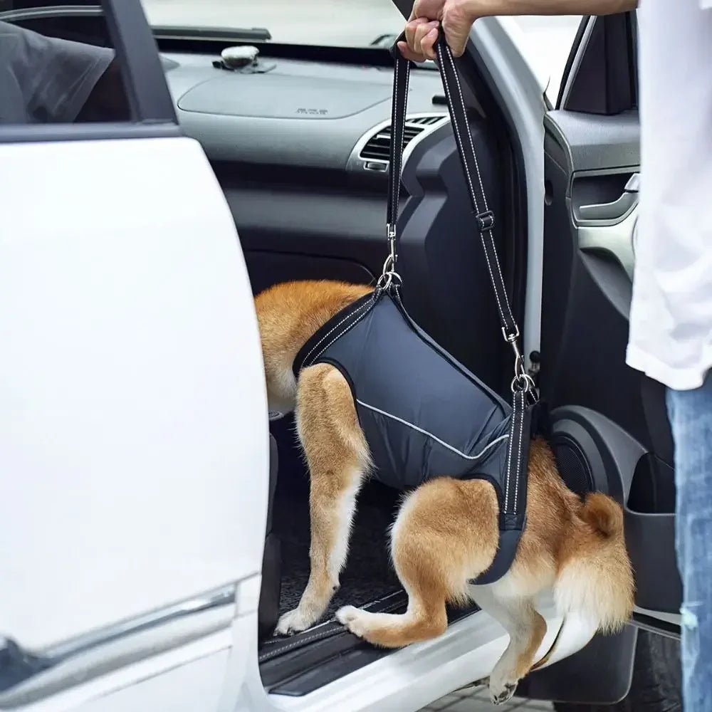 Adjustable Dog Support Strap for Mobility and Recovery – Breathable Dacron Harness 3