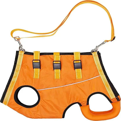 Adjustable Dog Support Strap for Mobility and Recovery – Breathable Dacron Harness 6