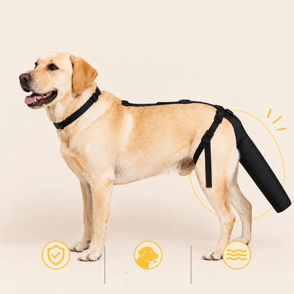 Adjustable dog tail protector with padded coverage, designed for sensitive tails, featuring soft fabric recovery sleeve for comfort and protection. 4