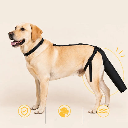 Adjustable dog tail protector with padded coverage, designed for sensitive tails, featuring soft fabric recovery sleeve for comfort and protection. 4