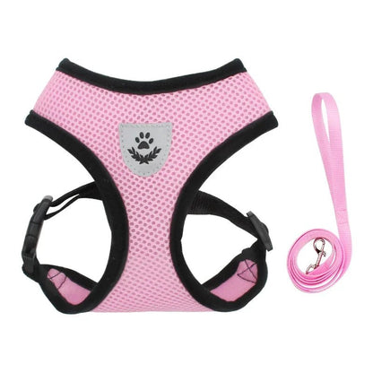 Adjustable Dog and Cat Harness with Leash – Breathable Mesh, Reflective Accents, Custom Fit for Comfort and Safety 10