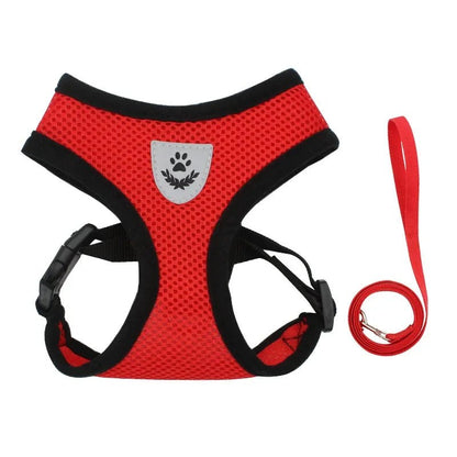 Adjustable Dog and Cat Harness with Leash – Breathable Mesh, Reflective Accents, Custom Fit for Comfort and Safety 12