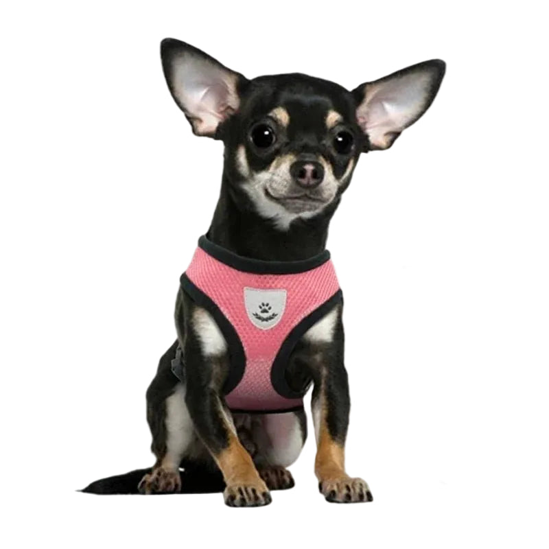 Adjustable Dog and Cat Harness with Leash – Breathable Mesh, Reflective Accents, Custom Fit for Comfort and Safety 3