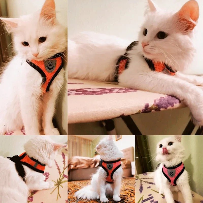 Adjustable Dog and Cat Harness with Leash – Breathable Mesh, Reflective Accents, Custom Fit for Comfort and Safety 5