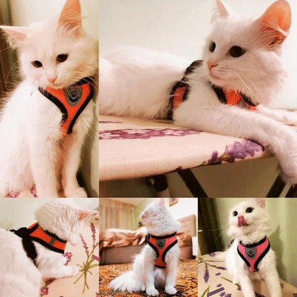 Adjustable Dog and Cat Harness with Leash – Breathable Mesh, Reflective Accents, Custom Fit for Comfort and Safety 5