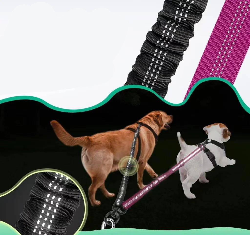 Adjustable Double Dog Leash with Bungee and Anti-Tangle Design – 42 to 60 cm, Reflective Nylon for Safe Walking 4