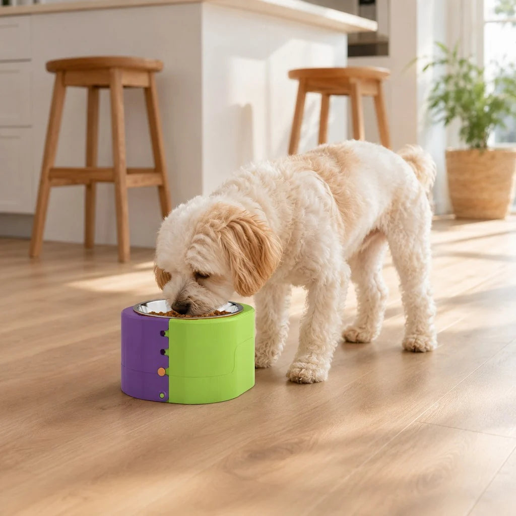 Adjustable elevated dog feeder with stainless steel bowl and slow-feeder insert, designed for cats and small dogs, featuring a compact design for small spaces. 1