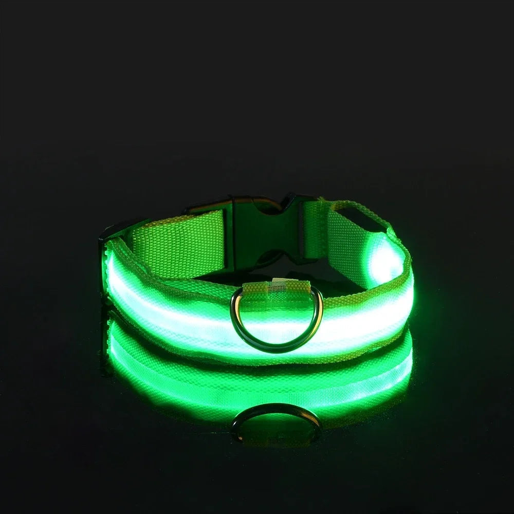 Adjustable LED Dog Collar with Reflective Nylon for Night Safety 0