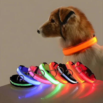 Adjustable LED Dog Collar with Reflective Nylon for Night Safety 1