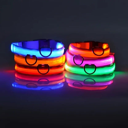 Adjustable LED Dog Collar with Reflective Nylon for Night Safety 2