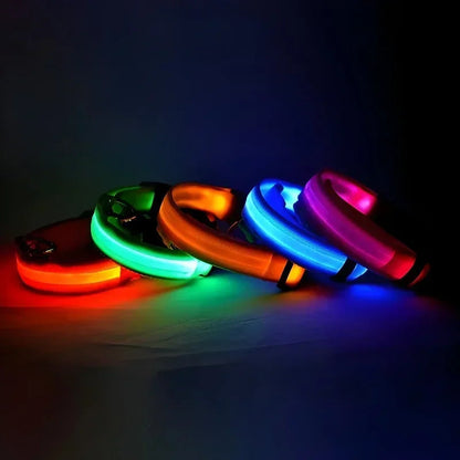 Adjustable LED Dog Collar with Reflective Nylon for Night Safety 3