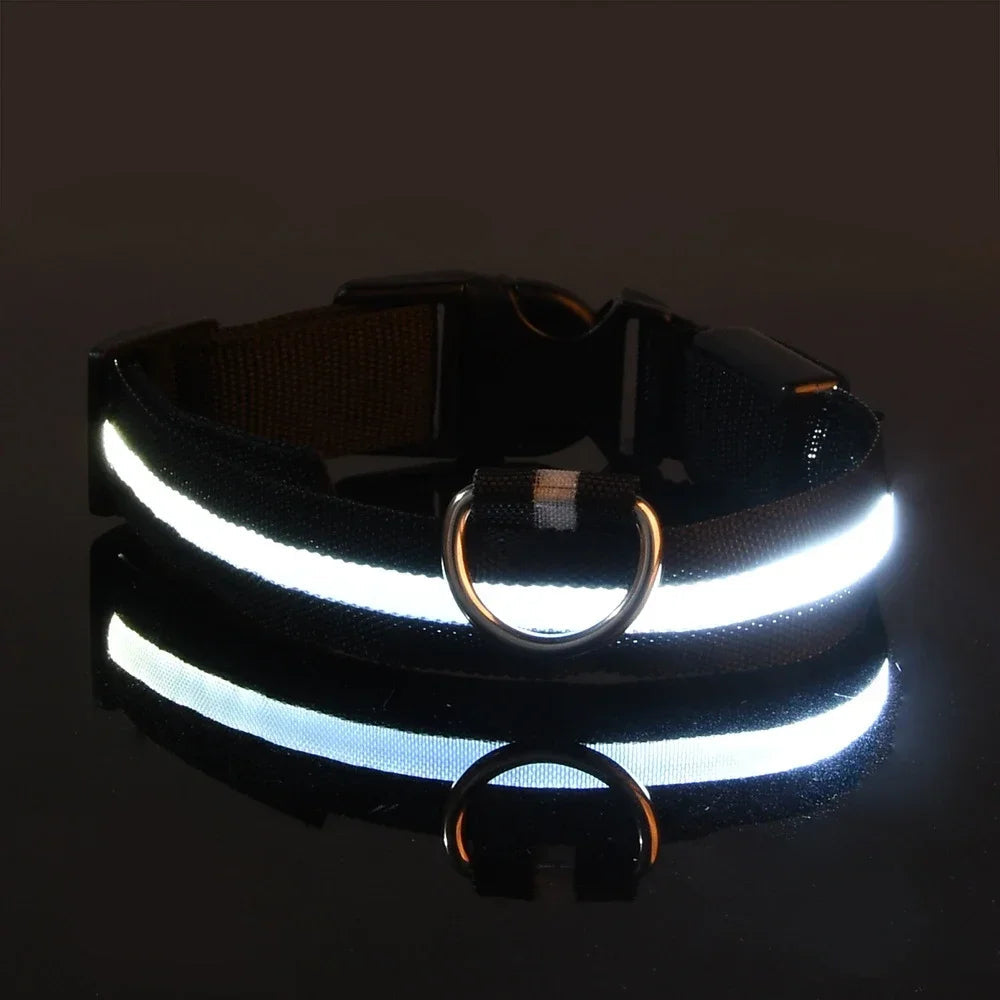 Adjustable LED Dog Collar with Reflective Nylon for Night Safety 4
