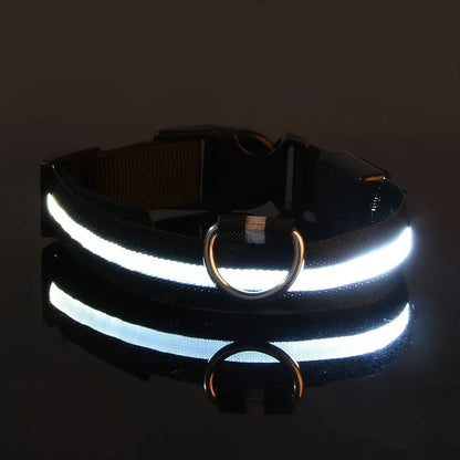 Adjustable LED Dog Collar with Reflective Nylon for Night Safety 4