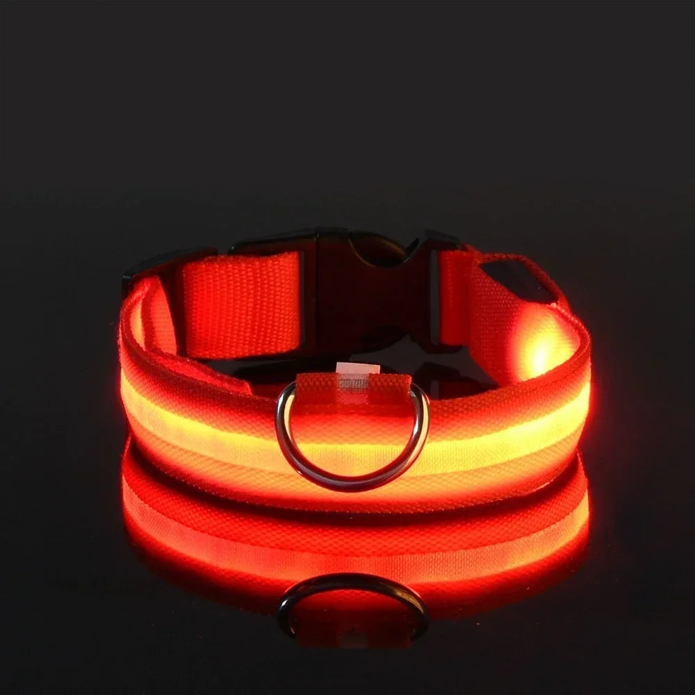 Adjustable LED Dog Collar with Reflective Nylon for Night Safety 5