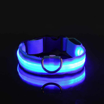 Adjustable LED Dog Collar with Reflective Nylon for Night Safety 7