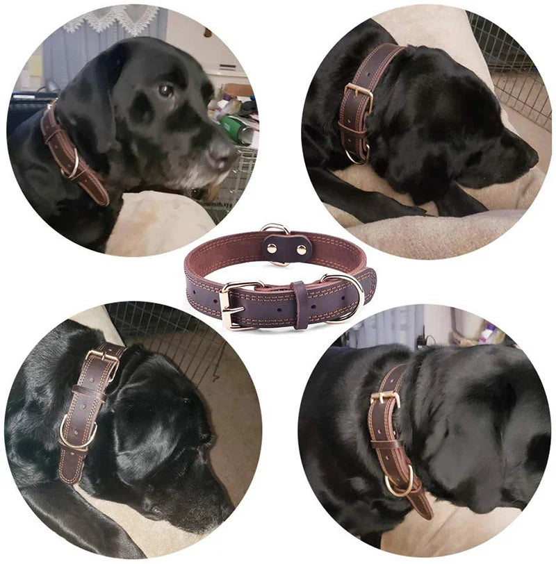 Adjustable Leather Dog Collar for Medium and Large Dogs – Strong and Comfortable in Brown and Black 8
