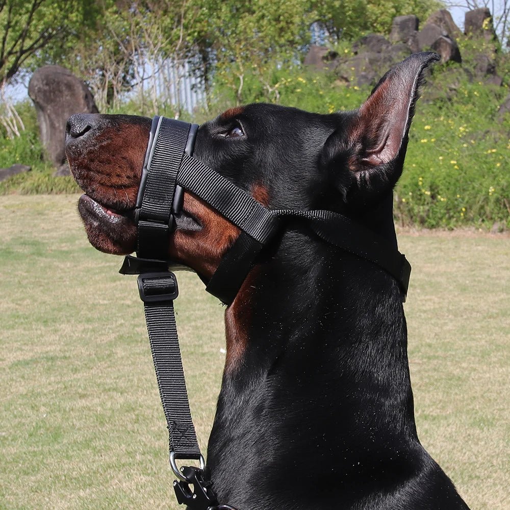 Adjustable Leather Dog Muzzle for Biting – Comfortable Basket Muzzle with Reflective Strips and Anti-Shock Design 1