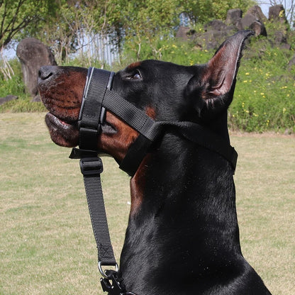 Adjustable Leather Dog Muzzle for Biting – Comfortable Basket Muzzle with Reflective Strips and Anti-Shock Design 1