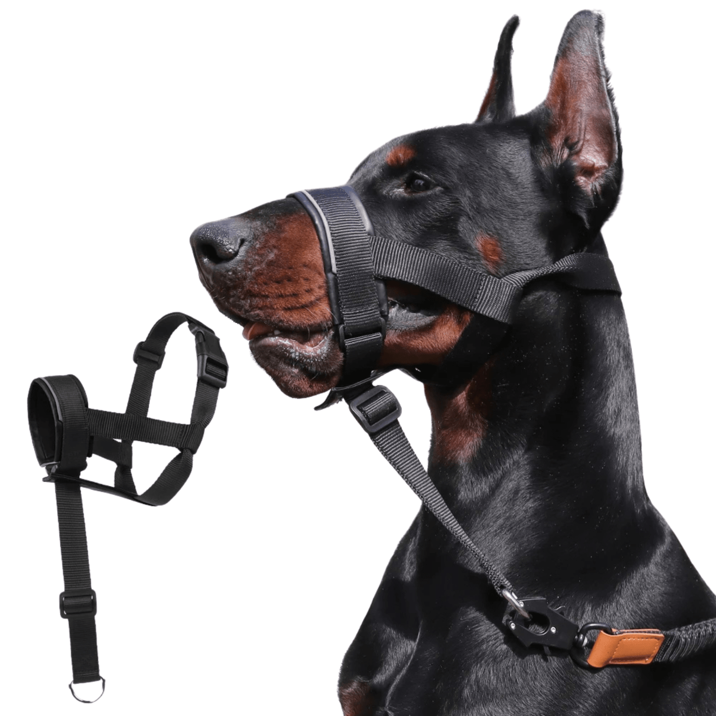 Adjustable Leather Dog Muzzle for Biting – Comfortable Basket Muzzle with Reflective Strips and Anti-Shock Design 4