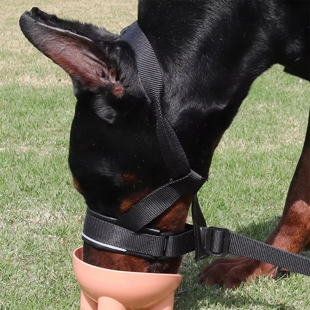 Adjustable Leather Dog Muzzle for Biting – Comfortable Basket Muzzle with Reflective Strips and Anti-Shock Design 5