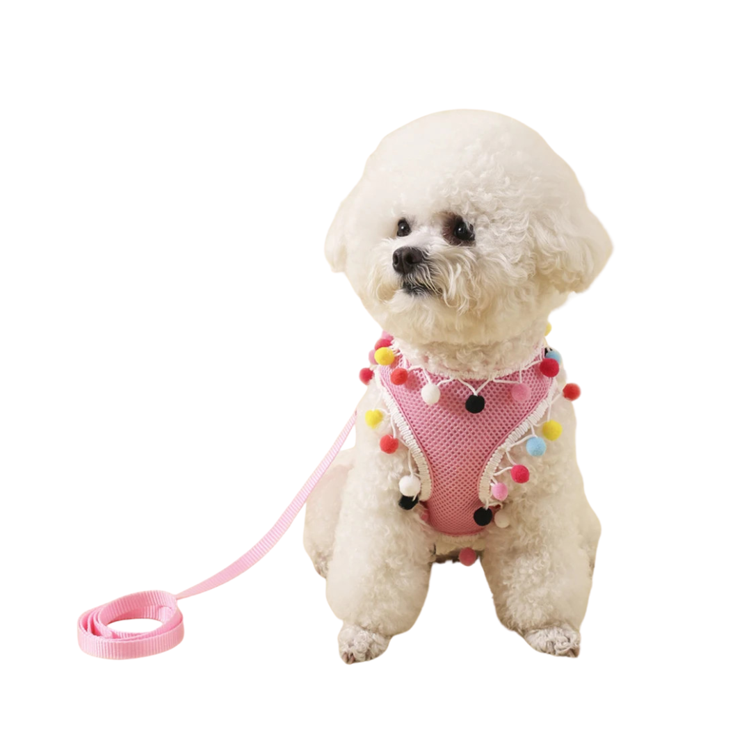 Adjustable Mesh Dog Harness for Summer – Lightweight, Breathable, Colorful Design, Comfortable Fit for Small to Medium Dogs 1