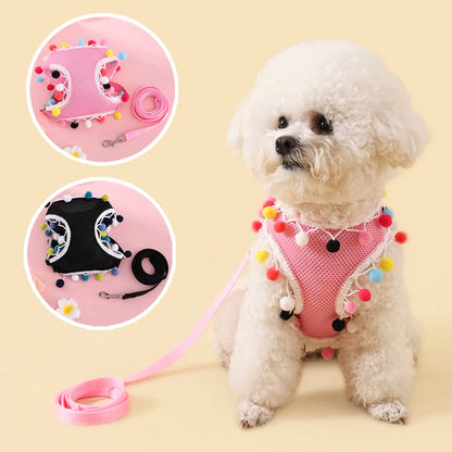 Adjustable Mesh Dog Harness for Summer – Lightweight, Breathable, Colorful Design, Comfortable Fit for Small to Medium Dogs 2