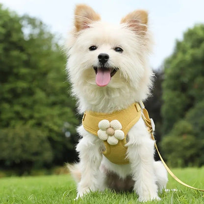 Adjustable No Pull Dog Harness with Handle and Leash Set – Comfortable, Secure Fit for Small to Large Dogs 3