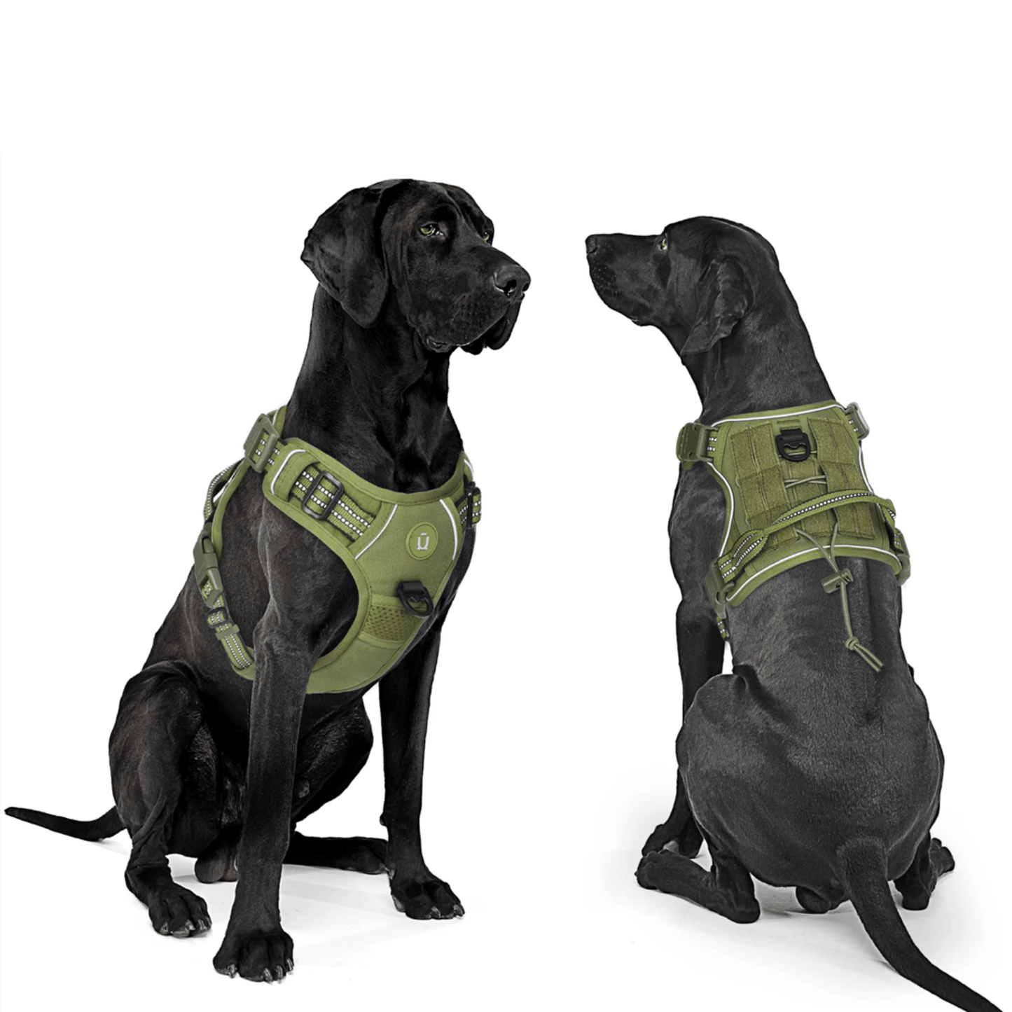 Adjustable No Pull Tactical Dog Harness with Handle and MOLLE System – Breathable Fit for Medium and Large Dogs 1