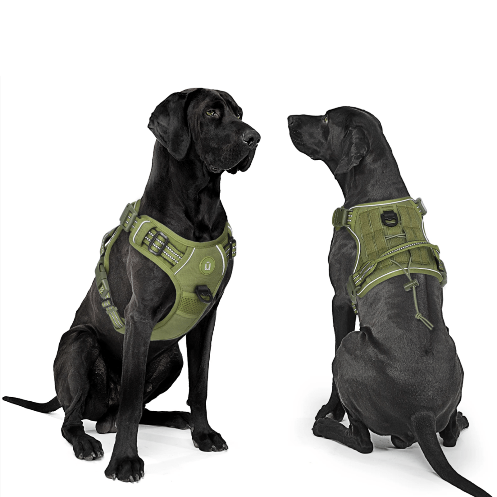 Adjustable No Pull Tactical Dog Harness with Handle and MOLLE System – Breathable Fit for Medium and Large Dogs 1