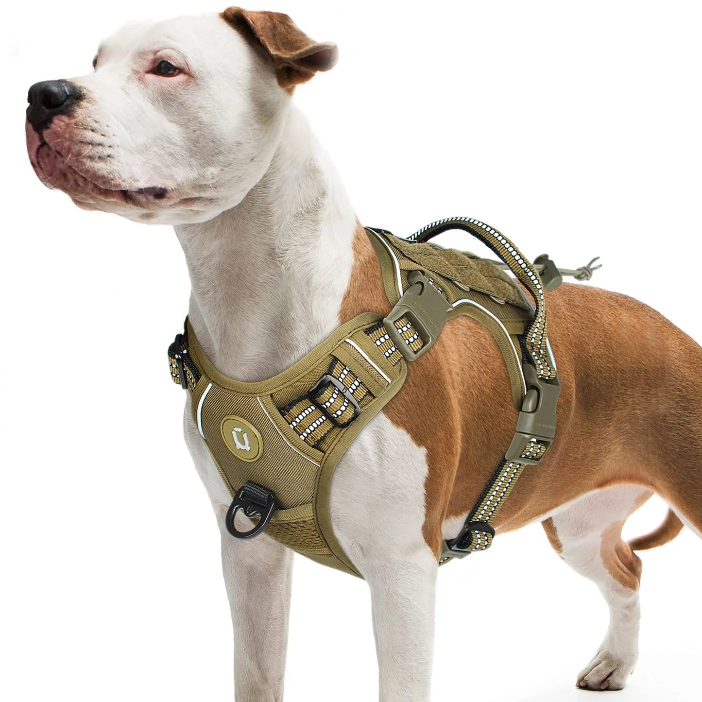 Adjustable No Pull Tactical Dog Harness with Handle and MOLLE System – Breathable Fit for Medium and Large Dogs 5