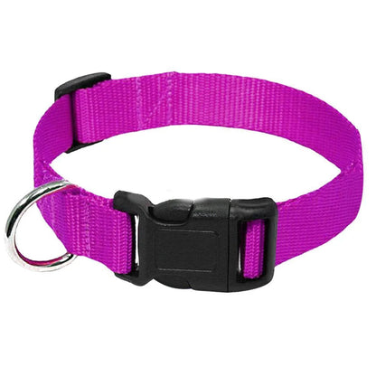 Adjustable Nylon Dog Collar - Durable, Comfortable, and Stylish for Small to Large Breeds 10