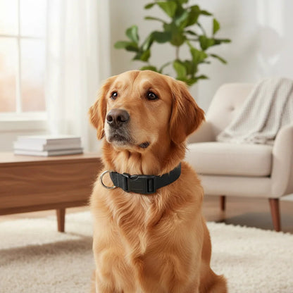 Adjustable Nylon Dog Collar - Durable, Comfortable, and Stylish for Small to Large Breeds 5