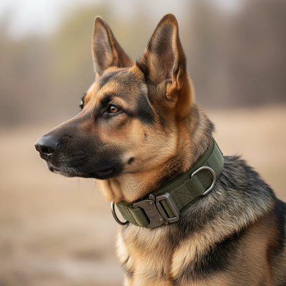 Adjustable Nylon Dog Collar for Large Dogs – Durable, Reflective, Comfortable Fit for Daily Walks and Training 2