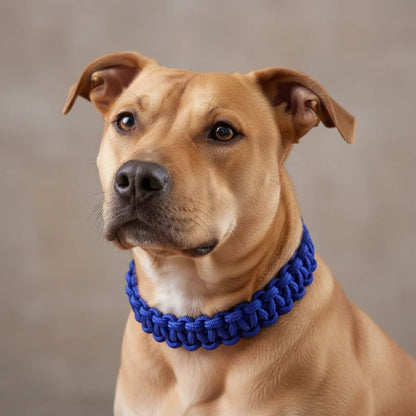 Adjustable Nylon Dog Collar for Training and Walks – Comfortable, Durable, Multiple Color Options, Sizes S to XL 3