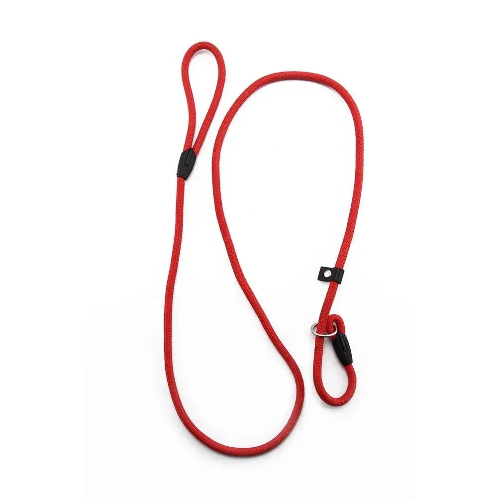 Adjustable Nylon Slip Dog Leash – Lightweight Eco-Friendly 130 cm Training Leash with Slip Knot Design 3