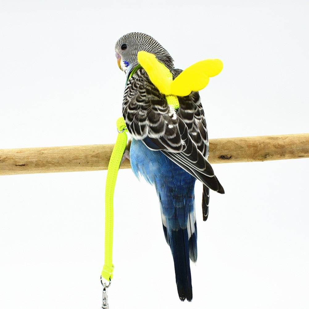 Adjustable Parrot Bird Harness with 78-Inch Leash and Anti-Bite Feature 2