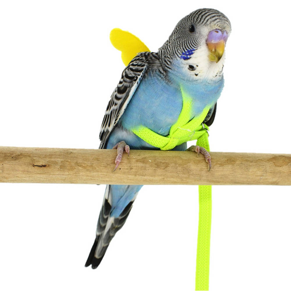 Adjustable Parrot Bird Harness with 78-Inch Leash and Anti-Bite Feature 3