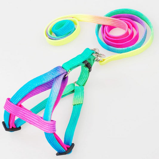 Adjustable Rainbow Nylon Dog Harness Set with 120cm Leash – Comfortable and Durable Design for Ultimate Pet Safety 0