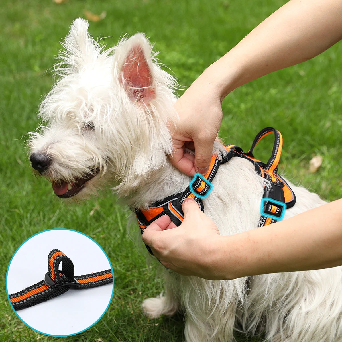 Adjustable Reflective Dog Harness - Lightweight Vest for All Breeds with Breathable Mesh and Safety Features 1